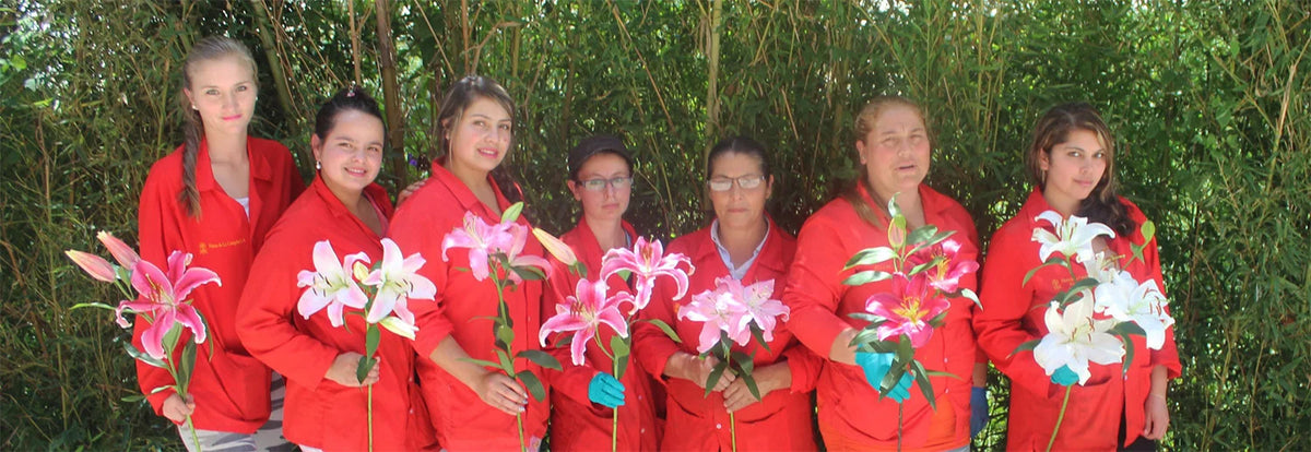 Women farmers at Flores de la Campiña in Colombia holding bouquets of lilies