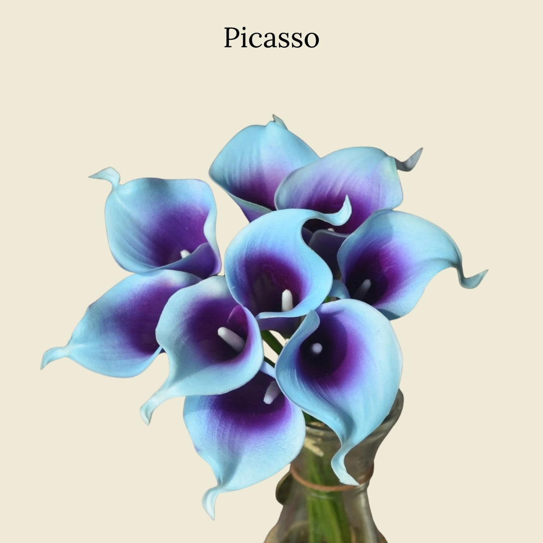 Picasso Calla Lilies from Floral Post current season flower subscription