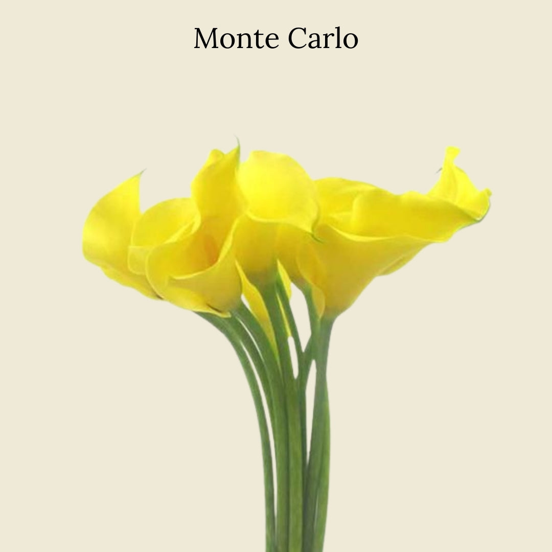 Monte Carlo Lilies from Floral Post current season flower subscription