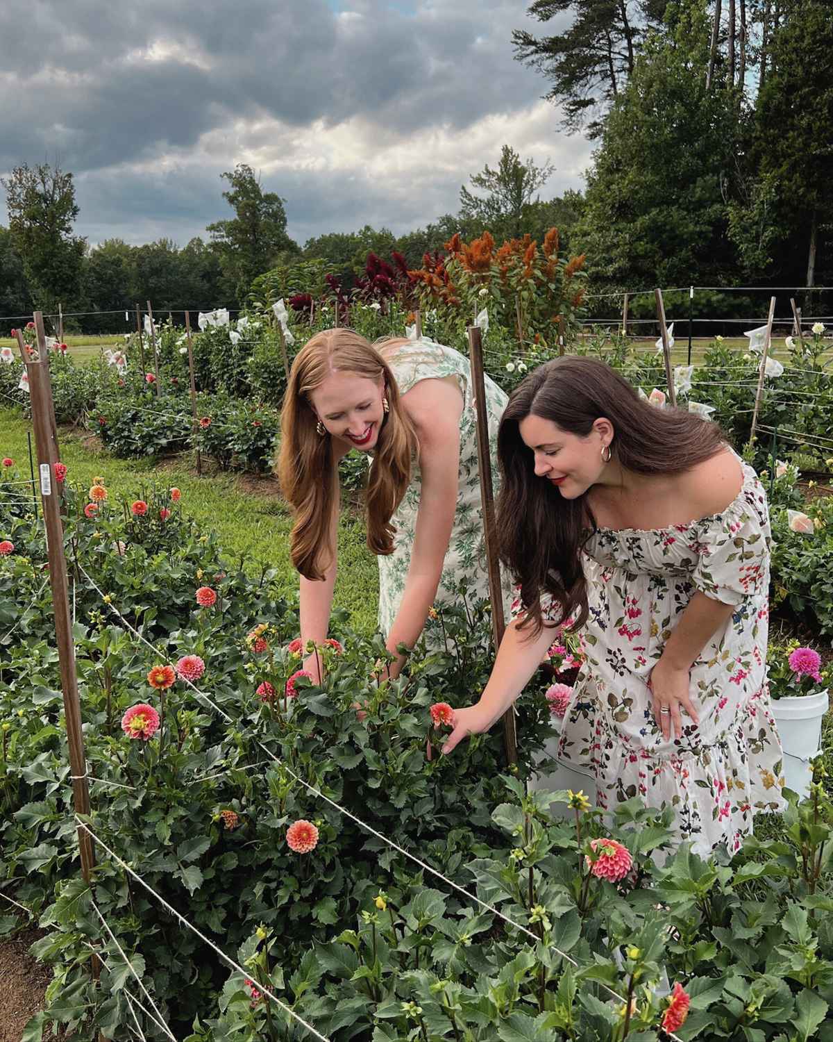 Seasonal stems grown on Floral Post farm in Virginia wine country