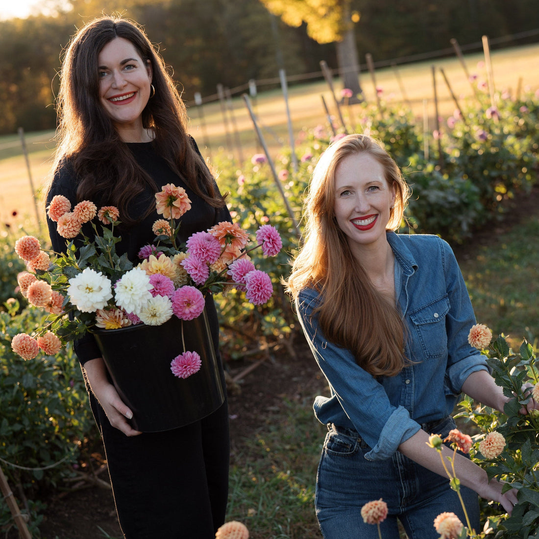 Floral Post | Luxury Flowers Delivered Fresh from the Farm