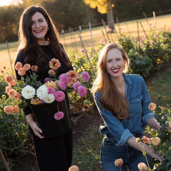 Floral Post | Luxury Flowers Delivered Fresh from the Farm