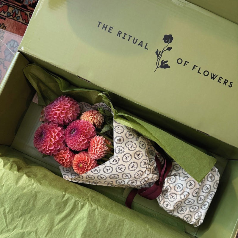 Coral dahlias wrapped in Floral Post paper inside the green Ritual of Flowers box